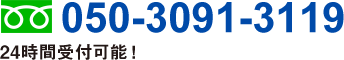 050-3091-3119